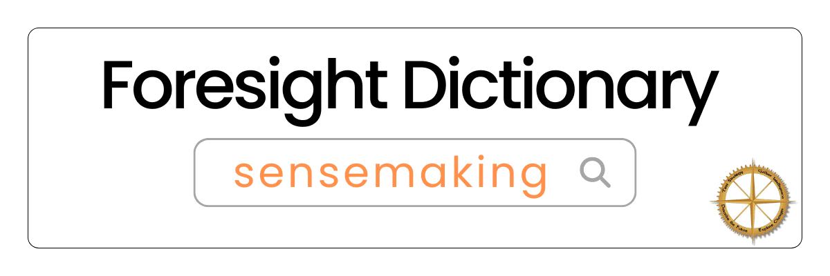 Foresight Dictionary Sensemaking