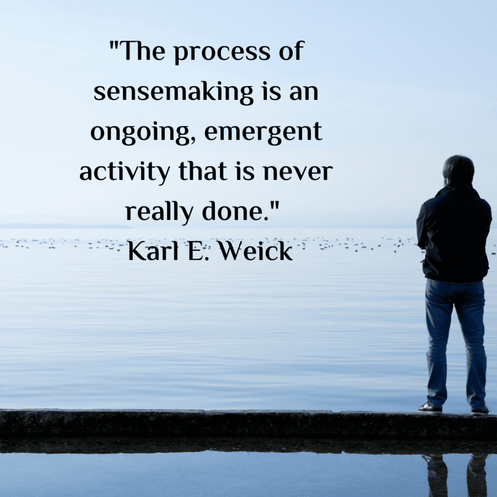 Sensemaking terminology 3